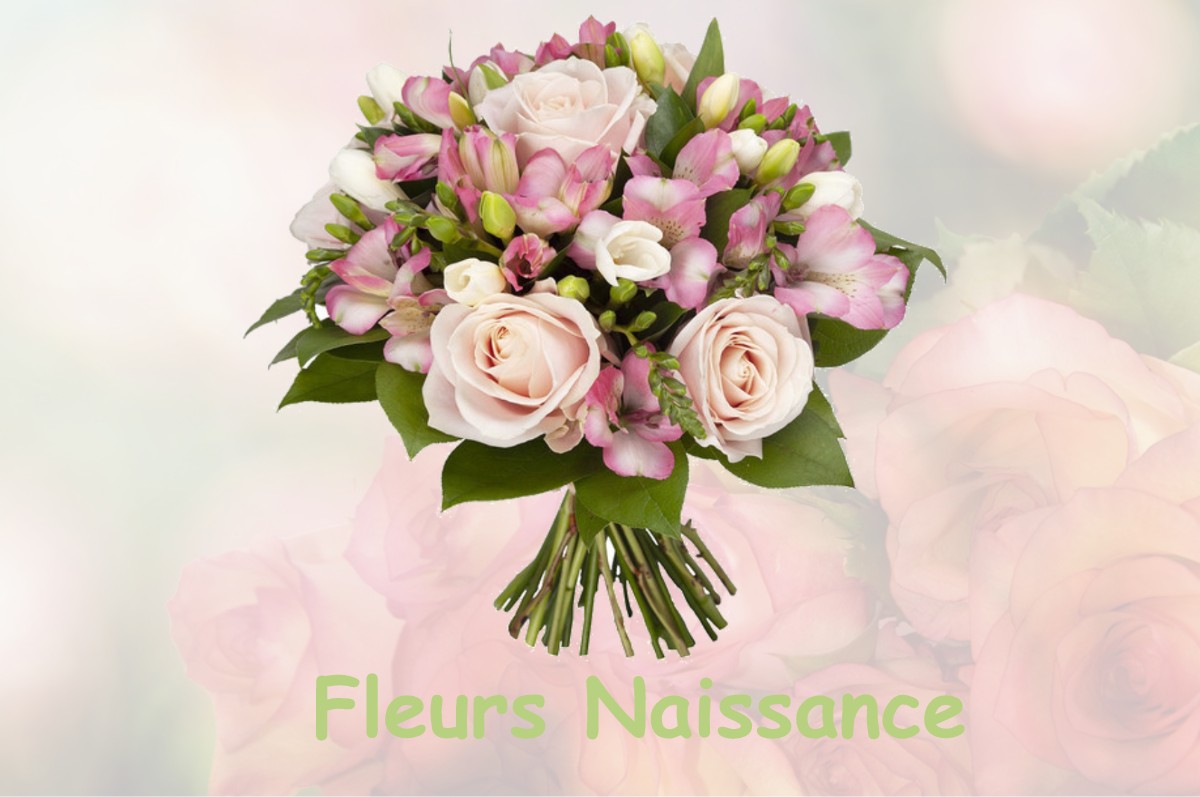 fleurs naissance SAINT-MARTIN-AUX-CHAMPS
