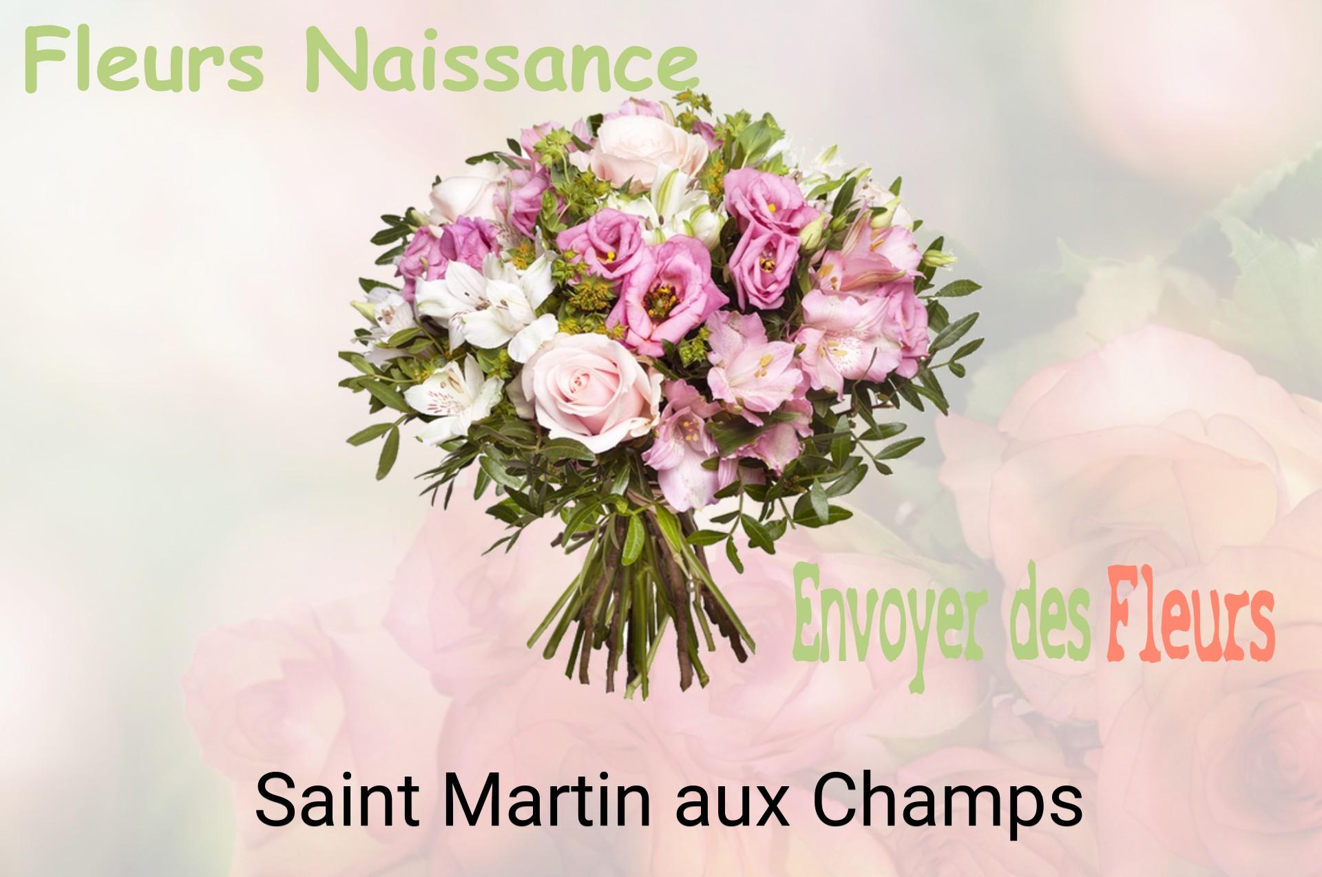 Bouquet de fleurs de naissance livré à Saint-Martin-aux-Champs